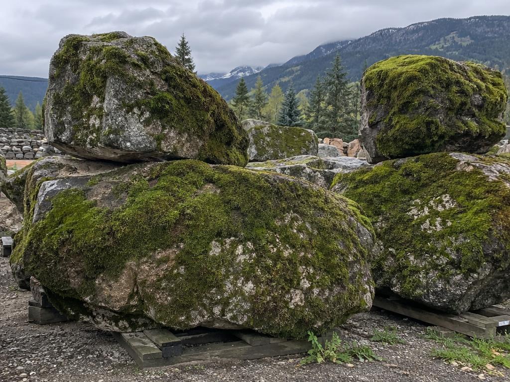 Moss covered landscape boulders. Natural green moss over weathered grey stone.
